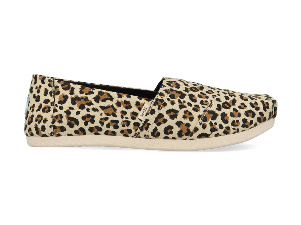 Toms Alpargata 10015065 Bruin maat