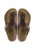 Birkenstock Slippers Ramses BF 044703 Donker Bruin