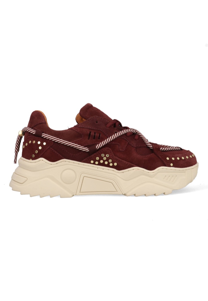 DWRS Jupiter Studs J5554E-04-4578 Bordeaux Rood maat afbeelding
